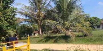 Pos Security PKS PT LTS Lingga Tiga, Sudah Terima Surat Tertulis dari DPP LSM TAWON