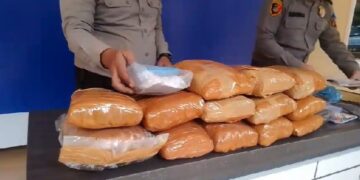 Polres Labuhan Batu Berhasil Gagalkan Pengiriman 12,6 Kg Ganja dari Medan Menuju Provinsi Riau