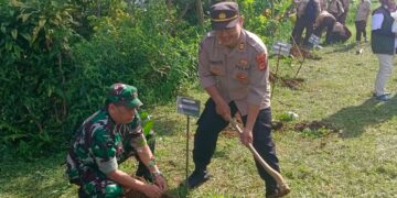 Kegiatan Penanaman Pohon di Cisarua untuk Mewujudkan Lingkungan yang Lebih Hijau