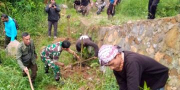 Kegiatan Penghijauan di Desa Megamendung: Menjaga Hutan dan Mencegah Longsor