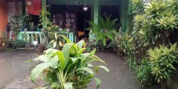 Puluhan Rumah di Kampung Sindang Barang Terendam Banjir