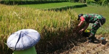 Babinsa Desa Gunungsindur Menghadiri Acara Halal Bihalal