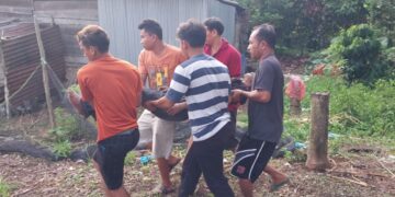 Polisi Selidiki Aksi Nekat Gantung Diri Seorang Bapak di Pohon Karet Dikecamatan Garoga Taput