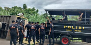 Kecelakaan Tunggal di Jalan Trans Sulawesi