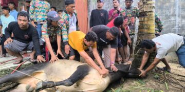 DPC GRIB JAYA Melaksanakan dan Membagikan Daging Qurban di Kabupaten Labuhan Batu