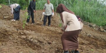 Rehabilitasi Lingkungan: Penanaman Pohon di Lahan Bekas Hibisc Puncak