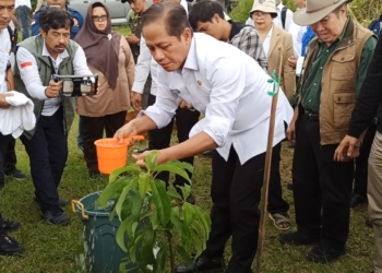Hanif Faisol Nurofiq: Pemulihan DAS Ciliwung Terus Dikawal, 7.000 Hektar Perlu Ditanami Kembali