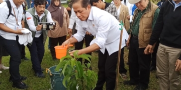 Hanif Faisol Nurofiq: Pemulihan DAS Ciliwung Terus Dikawal, 7.000 Hektar Perlu Ditanami Kembali