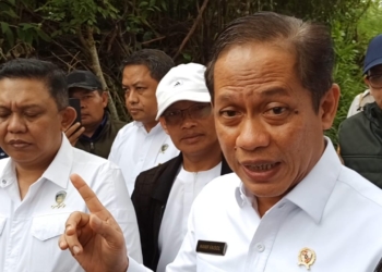 Hanif Faisol Nurofiq: Pemulihan DAS Ciliwung Terus Dikawal, 7.000 Hektar Perlu Ditanami Kembali