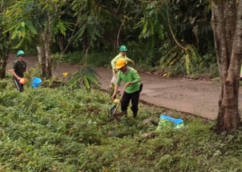 Hanif Faisol Nurofiq: Pemulihan DAS Ciliwung Terus Dikawal, 7.000 Hektar Perlu Ditanami Kembali