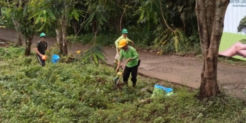 Hanif Faisol Nurofiq: Pemulihan DAS Ciliwung Terus Dikawal, 7.000 Hektar Perlu Ditanami Kembali