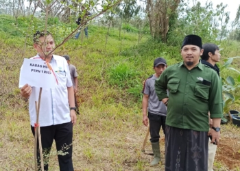 Hanif Faisol Nurofiq: Pemulihan DAS Ciliwung Terus Dikawal, 7.000 Hektar Perlu Ditanami Kembali