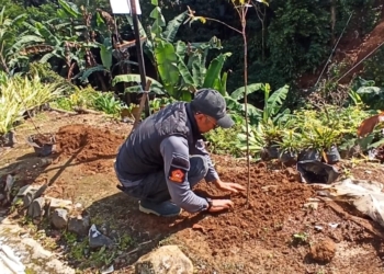 Pemdes Tugu Utara Tegas Awasi Pembangunan Pasca Longsor, Fokuskan Pemulihan Lahan Kritis