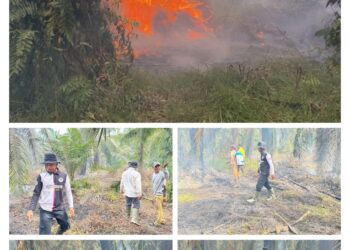 Gerak Cepat Penghulu Teluk Piyai Padamkan Api di Sungai Tunggak