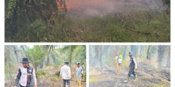 Gerak Cepat Penghulu Teluk Piyai Padamkan Api di Sungai Tunggak