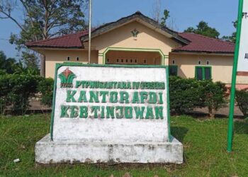 Diduga Tampung Sawit Curian, Pengusaha di Simalungun Didesak Diproses Hukum