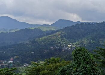 Ribuan Pekerja Wisata di Puncak Terancam PHK, 19 Mitra KSO PTPN Gunung Mas Kehilangan Izin