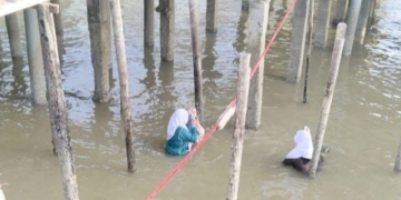 Jalan Mangkrak di Panipahan Makan Korban, Meski Tak Ada Korban Jiwa