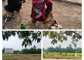 Sambut HUT ke-80 RI, Warga Desa Sei Segajah Makmur Gelar Gotong Royong