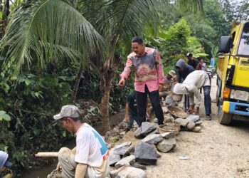 Pemkab Bogor Mulai Bangun TPT di Desa Cibitung Tengah