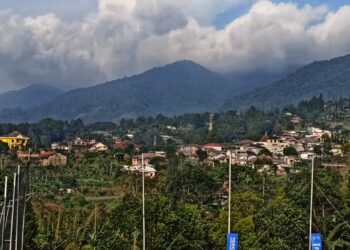 KLH Ancam Bongkar Bangunan KSO, Kuasa Hukum: PTPN Harus Bertanggung Jawab