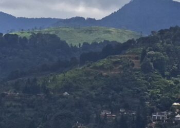 Bangunan Liar Marak di Puncak, UPT: Sudah Kami Laporkan ke Satpol PP