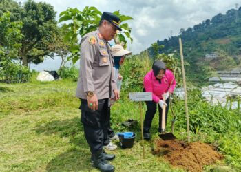 Ketua Bhayangkari Cisarua Dampingi PKK Kabupaten Bogor Gelar Penanaman Pohon di Puncak