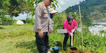 Ketua Bhayangkari Cisarua Dampingi PKK Kabupaten Bogor Gelar Penanaman Pohon di Puncak