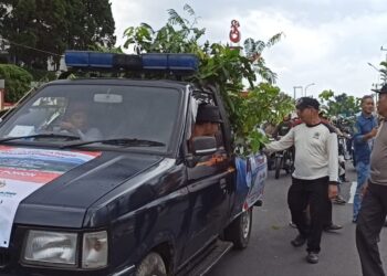 Ribuan Bibit Pohon Dibagikan Gratis, PT BAP Gaungkan Gerakan Hijau di Puncak