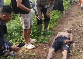 Seorang Kakek Meninggal Dunia Usai Digigit Ular Kobra, Sempat Melawan dan Membunuh Ular Tersebut