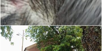 Orangtua Murid TK Bhayangkari Mangkutana Keluhkan Dugaan Bullying dan Kelalaian Guru