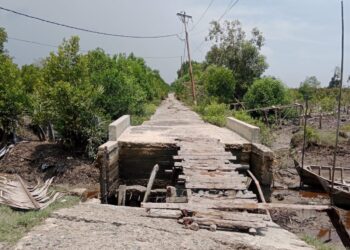 Warga Minta Pemkab Rohil dan Pemerintah Pusat Bangun Jalan Utama Kecamatan Pasir Limau Kapas