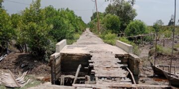 Warga Minta Pemkab Rohil dan Pemerintah Pusat Bangun Jalan Utama Kecamatan Pasir Limau Kapas
