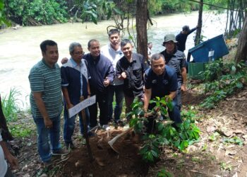 13 Tahun FWBS–Aqua, Wartawan Bogor Selatan Tanam Pohon di Bantaran Cisadane