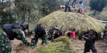 Gotong Royong Renovasi Rumah Adat Honai Papua, Wujud Cinta Satgas Yonif 511/DY