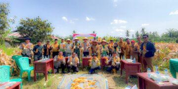 Polsek Kubu Gelar Panen Raya Jagung Kuartal I 2026, Dukung Ketahanan Pangan Nasional