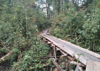 Dugaan Mafia Tanah dan Ilegal Logging di Hutan Lindung Dairi, KPH 15 Kabanjahe Disorot