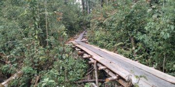 Dugaan Mafia Tanah dan Ilegal Logging di Hutan Lindung Dairi, KPH 15 Kabanjahe Disorot