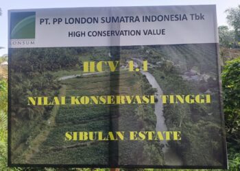 Plang Konservasi di Atas Sawit: Dugaan Penipuan Publik PT LONSUM di DAS Sibulan