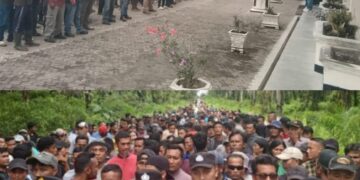 Penjarahan TBS di Rantau Kasai, Ribuan Karyawan Agrinas Bertindak