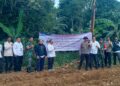 Pemdes Cileungsi Luncurkan Program Ketahanan Pangan Jagung 2026, Targetkan 1,5 Hektare Lahan