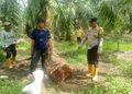 Polsek Panipahan Laksanakan Problem Solving Tipiring, Wujudkan Restorative Justice di Masyarakat